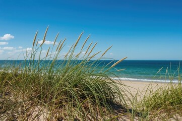 Coastal vegetation beside a large freshwater lake