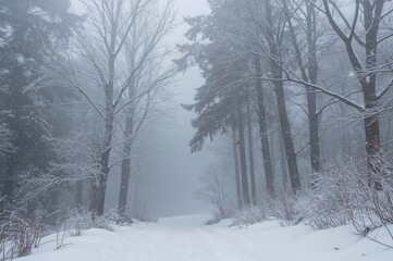 Fototapeta premium Magical snowflakes drifting through a misty woodland