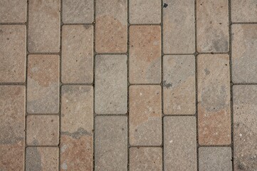 Fototapeta premium Garden area with brown stone tiles