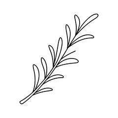 Rosemary Herb Outline Vector