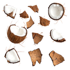 Coconuts pieces composition, fresh tropical fruit assortment on transparent background