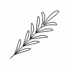 Rosemary Herb Outline Vector