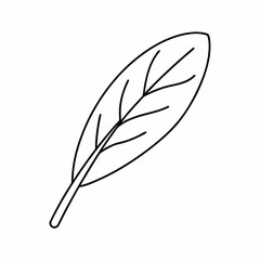 Sage Leaf Vector Outline