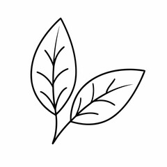 Sage Leaf Vector Outline