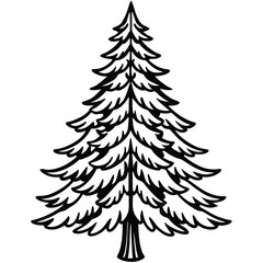 Fir Tree line art vector