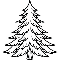Obraz premium Fir Tree line art vector