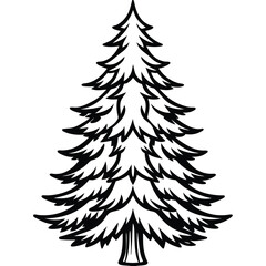 Fir Tree line art vector