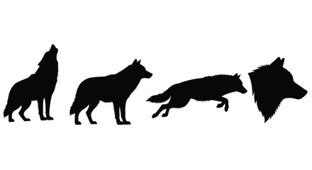Dynamic silhouette series of a wolf in various poses for wildlife graphics and designs vector