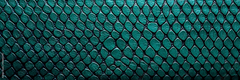 Poster a close-up view of textured, iridescent reptile skin showcasing intricate patterns and colors.