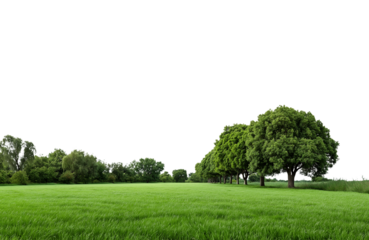 Panoramic view of densely forested green mountains under a bright sky isolated on transparent background