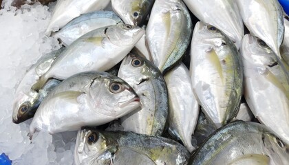 Obraz premium Fresh Fish on Ice: A selection of fresh fish, artfully arranged and displayed on a bed of ice, showcasing the glistening scales and pristine quality.