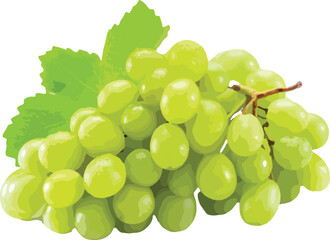 Green Grapes Bunch with Leaves Isolated White Background