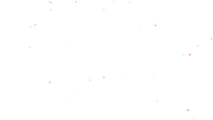 Hand-drawn pink cherry blossom petals falling down. 2D cartoon anime style abstract background overlay. Romantic sakura flower confetti effect with a transparent background for easy layering.