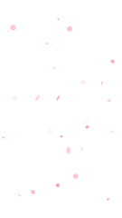 Falling pink confetti dots and circles effect for celebrations, parties, and festive occasions. Abstract romantic background element with a transparent background for easy compositing.