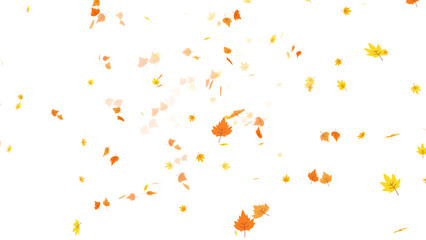Beautiful autumn leaves in warm orange and yellow tones falling gracefully. 2D illustrated graphic overlay element with a transparent background for seasonal projects and nature themes.