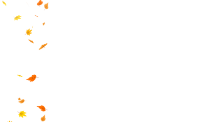 Falling autumn leaves in vibrant orange and yellow colors. Cartoon style animation element for seasonal projects. Illustration of fall foliage with transparent background for easy overlay. Copy space.