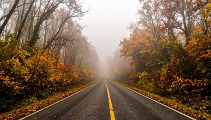Fototapeta premium Misty Road Through Autumn Forest with Colorful Foliage
