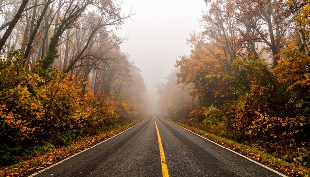 Misty Road Through Autumn Forest with Colorful Foliage