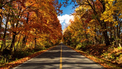 Obraz premium Scenic Autumn Road Lined with Vibrant Orange and Yellow Trees Under Blue Sky