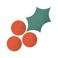 Christmas mistletoe berry holly branch © wooster