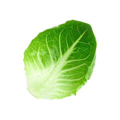 A single green cabbage leaf with visible veins, isolated on a transparent background.