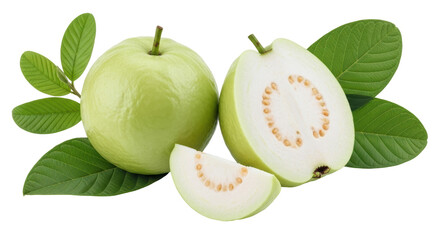 Isolated Guava Fruits