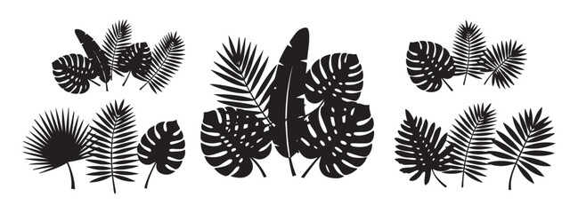 Collection of six stylized black silhouette clusters of tropical palm leaves and monstera leaves isolated on transparent background for design © SaHeD