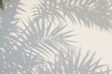 Early morning sunlight casting delicate palm leaf shadows on a white surface.