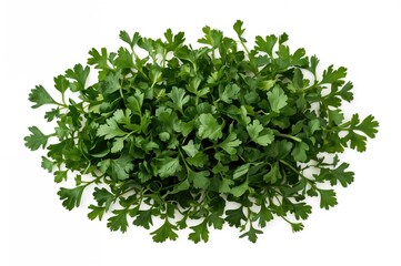 Naklejka premium Fresh green herbs finely chopped and displayed on a white backdrop from above.