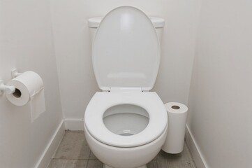 Residential flush toilet with toilet bowl and tissue paper