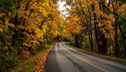 Fototapeta premium Winding Road Through Vibrant Autumn Forest with Golden Foliage