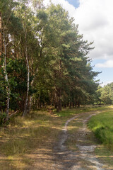 Yateley Common in Hampshire United Kingdom