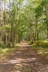 Yateley Common in Hampshire United Kingdom