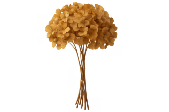 Bouquet of dried hydrangeas with transparent background for easy editing