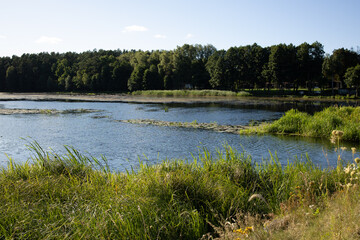 beautiful summer landscape with lake