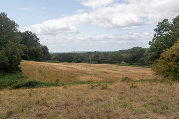 Fototapeta premium Yateley Common in Hampshire United Kingdom