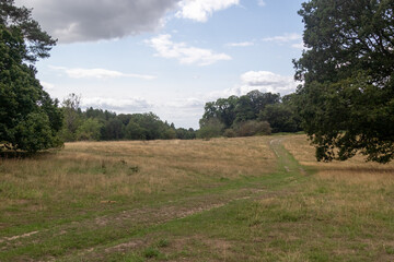 Yateley Common in Hampshire United Kingdom