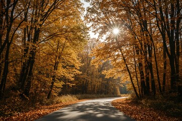 Fototapeta premium A beautiful autumn season with golden foliage and cozy sunlight