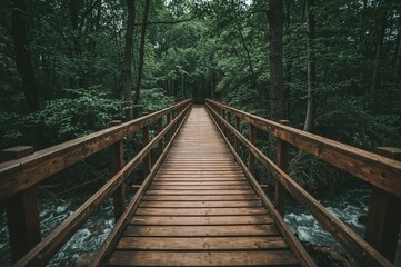 A timber footbridge spanning a creek to avoid forest flooding.