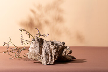 Stone and dry flower on a beige and brown background with beautiful branch shadows. Cosmetic product mockup