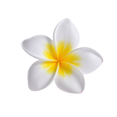 Fototapeta premium A delicate white flower with a vibrant yellow center against a transparent background.