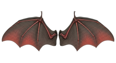 Isolated Bat Wings