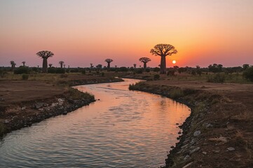 Savannah scenery with wetlands and trees