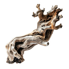 Twisted, ancient driftwood piece isolated on black transparent background