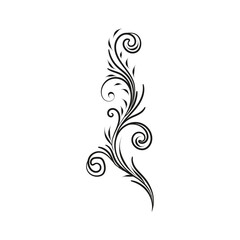 Decorative floral vector ornament on white background