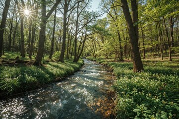 A flowing river surrounded by forest in the springtime