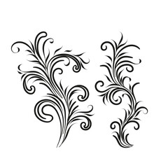 Obraz premium Decorative floral vector ornament on white background