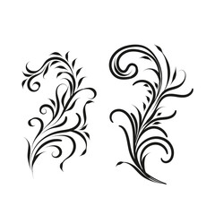 Decorative floral vector ornament on white background