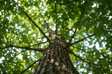 Fototapeta premium Blurred close-up of a tree trunk with green foliage and white highlights