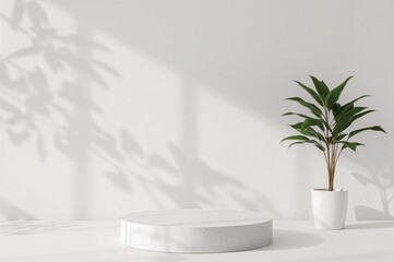 Minimalist setting featuring a leafy plant and shadowed wall. Blank platform and podium designed for showcasing items. Template for wellness, relaxation, and product presentation.